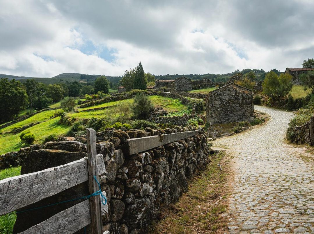 3795c117-15f0-473f-88c9-60018b4a9b2c