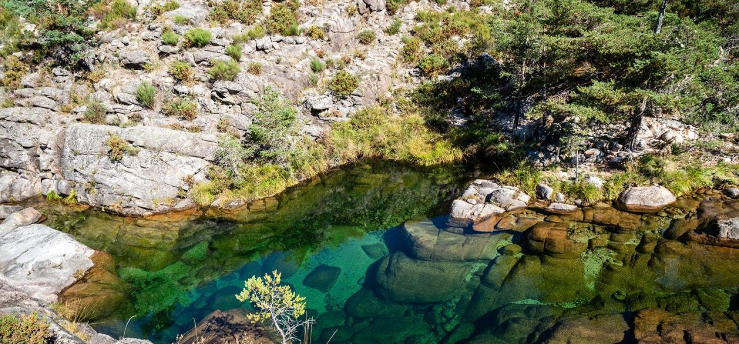 WhatsApp Image 2025-06-20 at 06.51.56 (5)