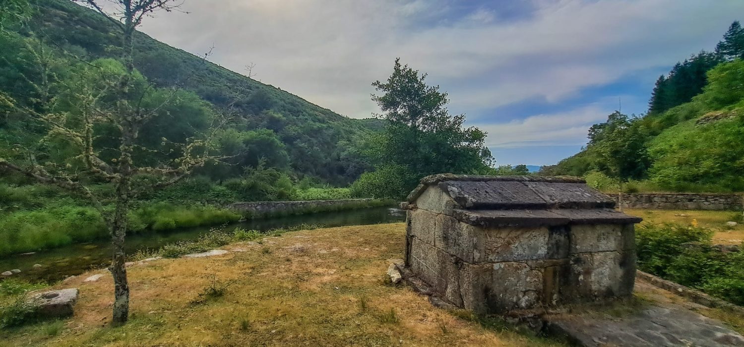 WhatsApp Image 2025-07-01 at 13.45.49