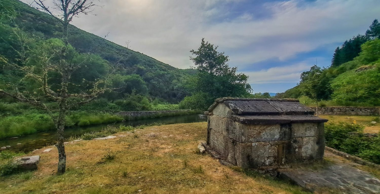 WhatsApp Image 2025-07-01 at 13.45.49