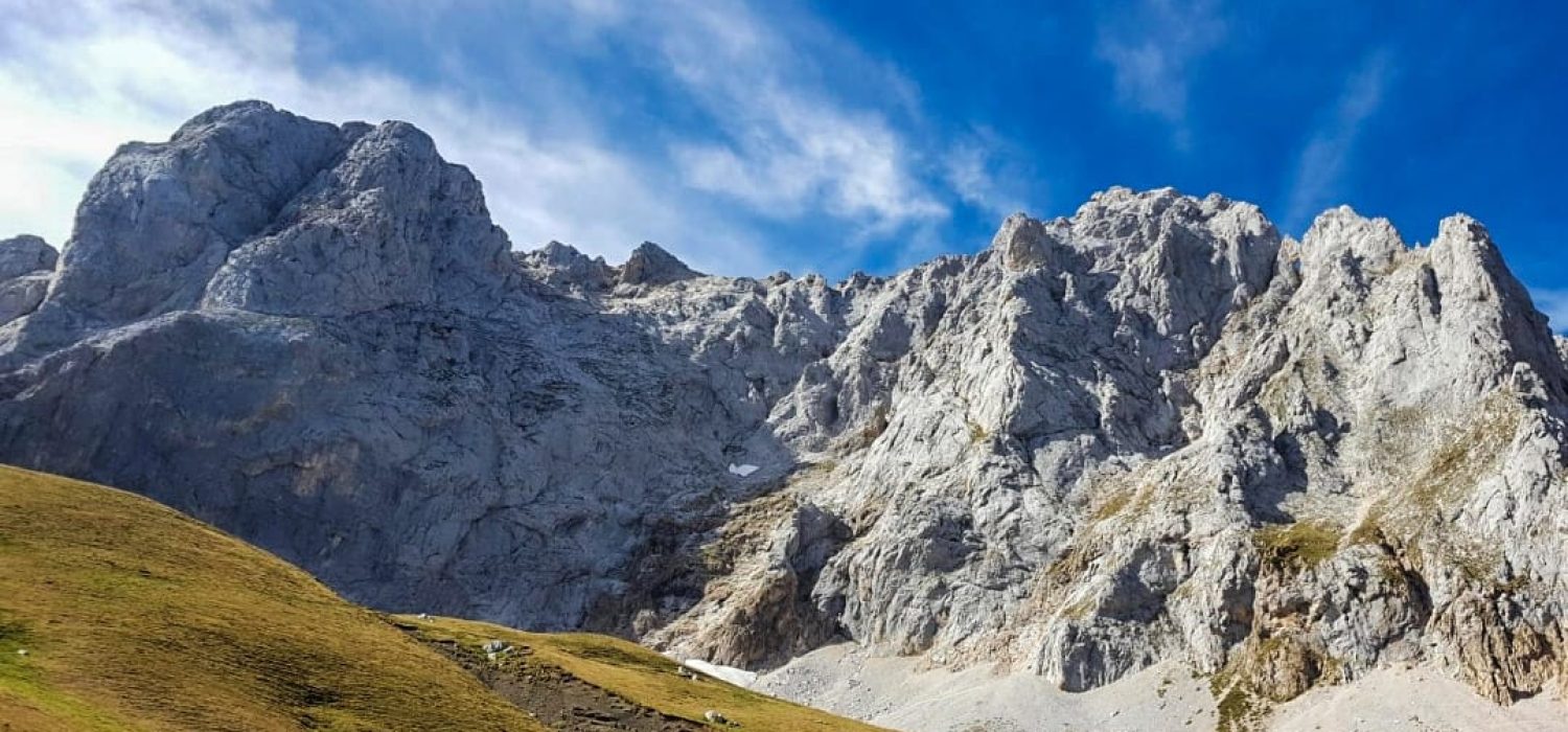 WhatsApp Image 2025-07-11 at 11.04.06