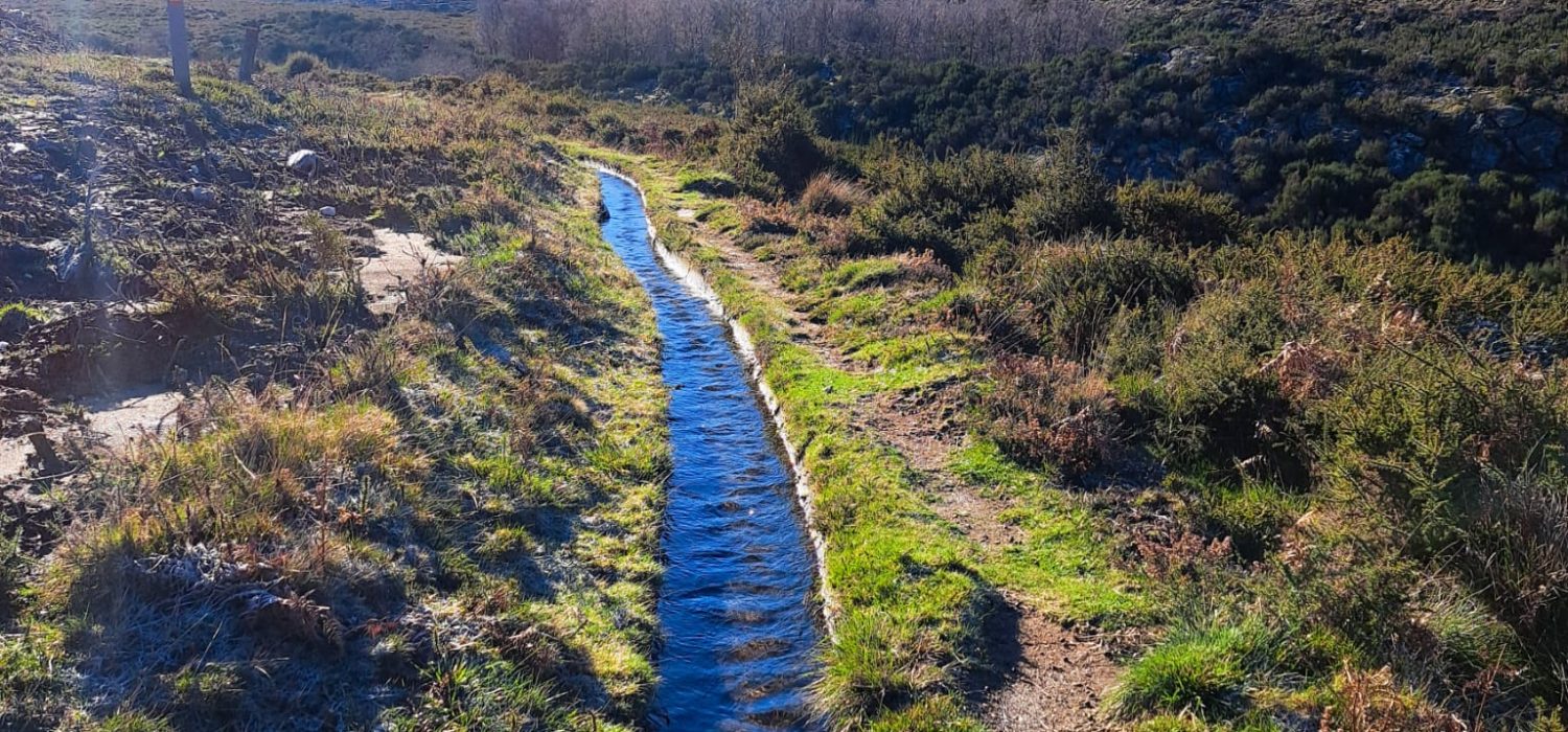 WhatsApp Image 2025-09-16 at 08.07.50