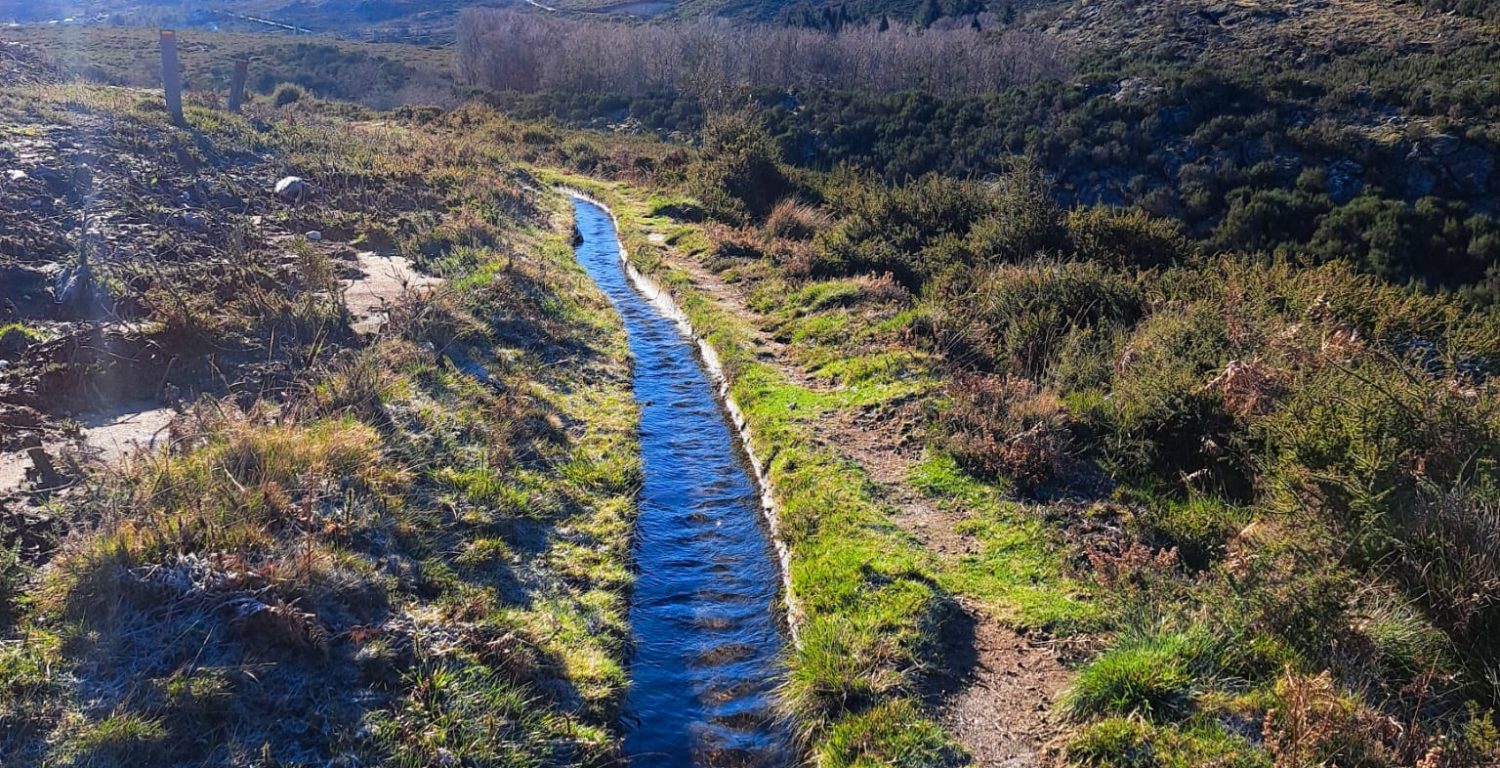 WhatsApp Image 2025-09-16 at 08.07.50