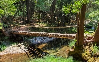 WhatsApp Image 2025-10-16 at 07.09.52