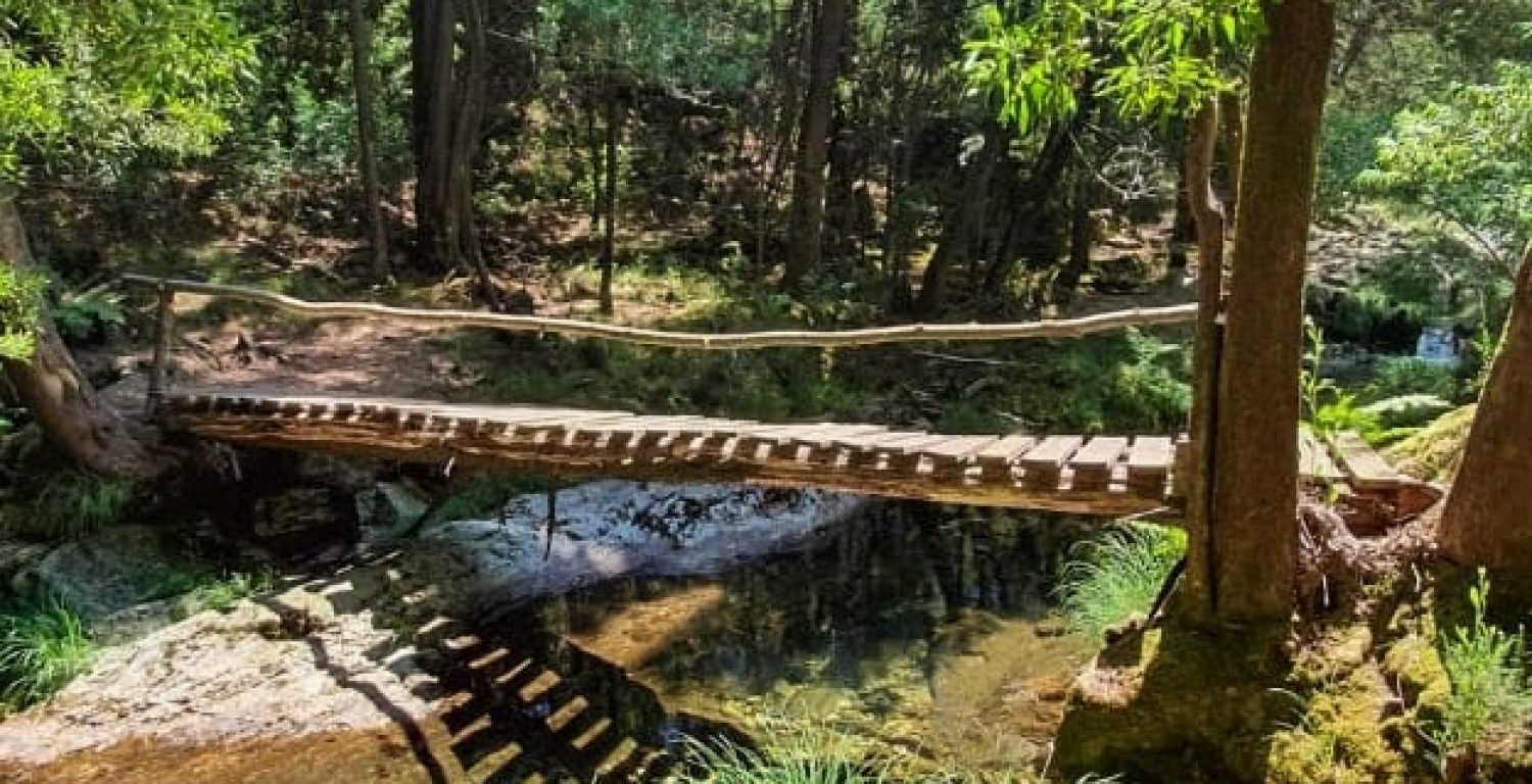 WhatsApp Image 2025-10-16 at 07.09.52