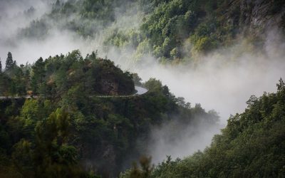 WhatsApp Image 2025-11-07 at 08.20.30 (1)