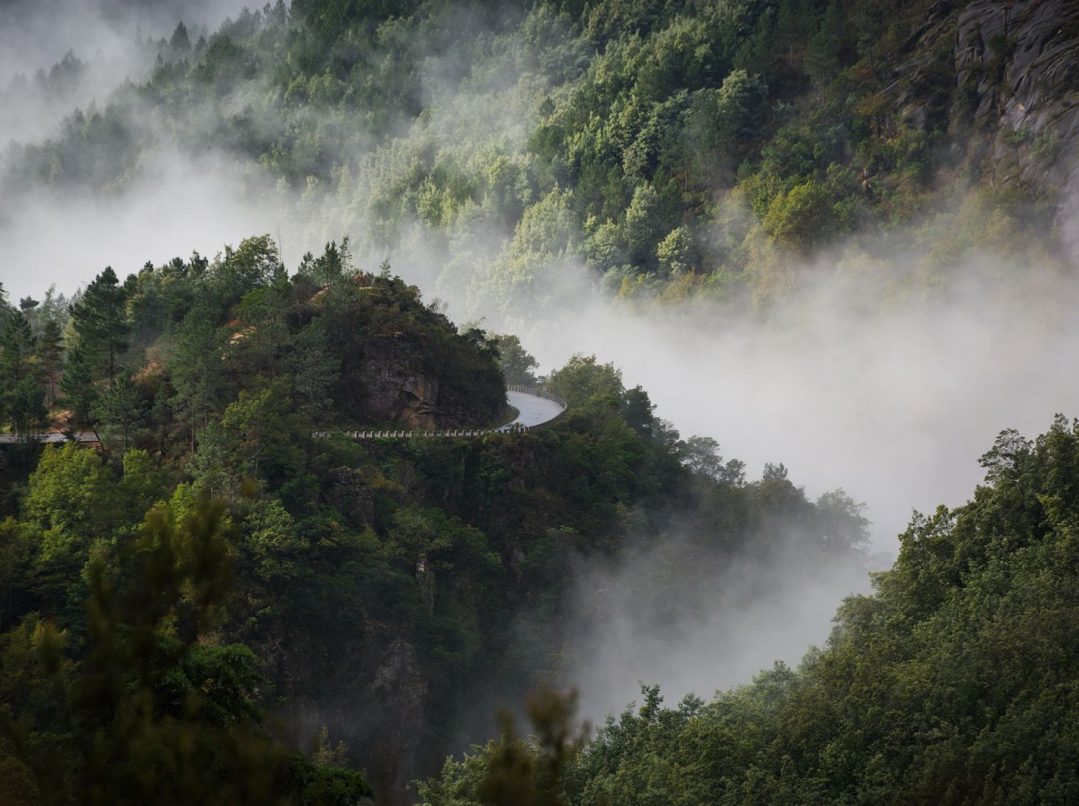 WhatsApp Image 2025-11-07 at 08.20.30 (1)