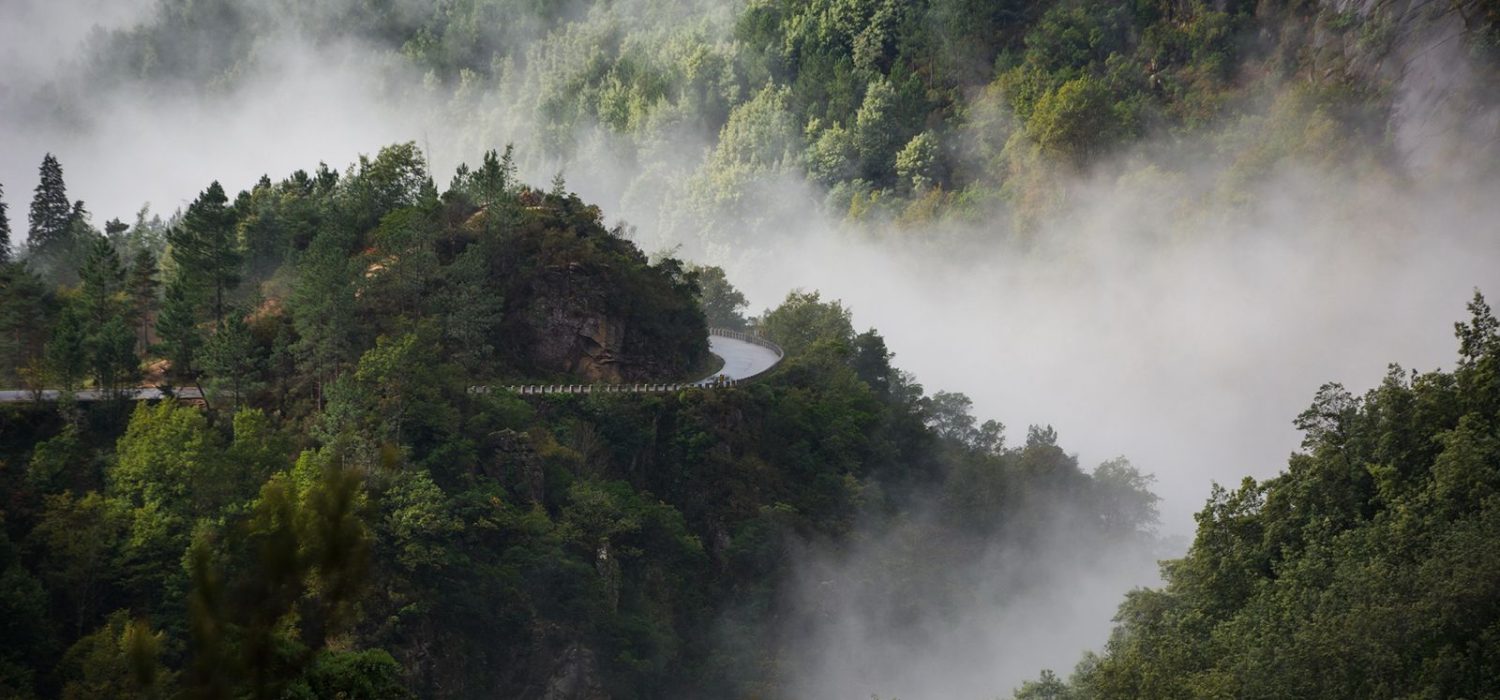 WhatsApp Image 2025-11-07 at 08.20.30 (1)