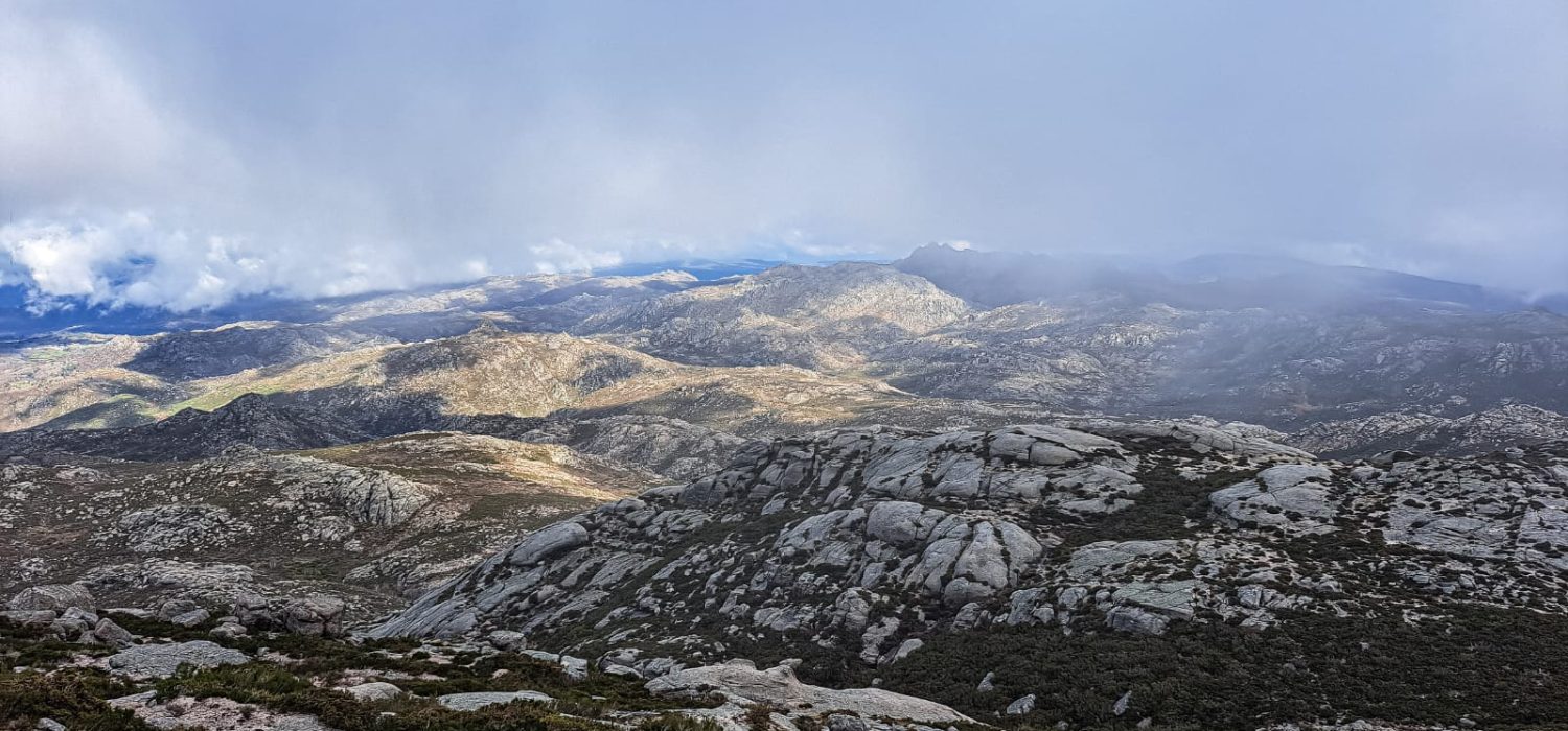 WhatsApp Image 2025-11-20 at 10.06.17