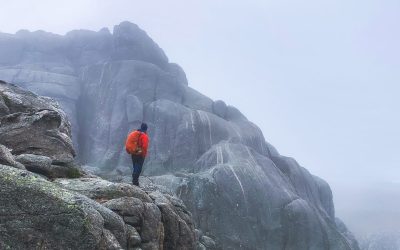 WhatsApp Image 2025-11-20 at 10.06.19