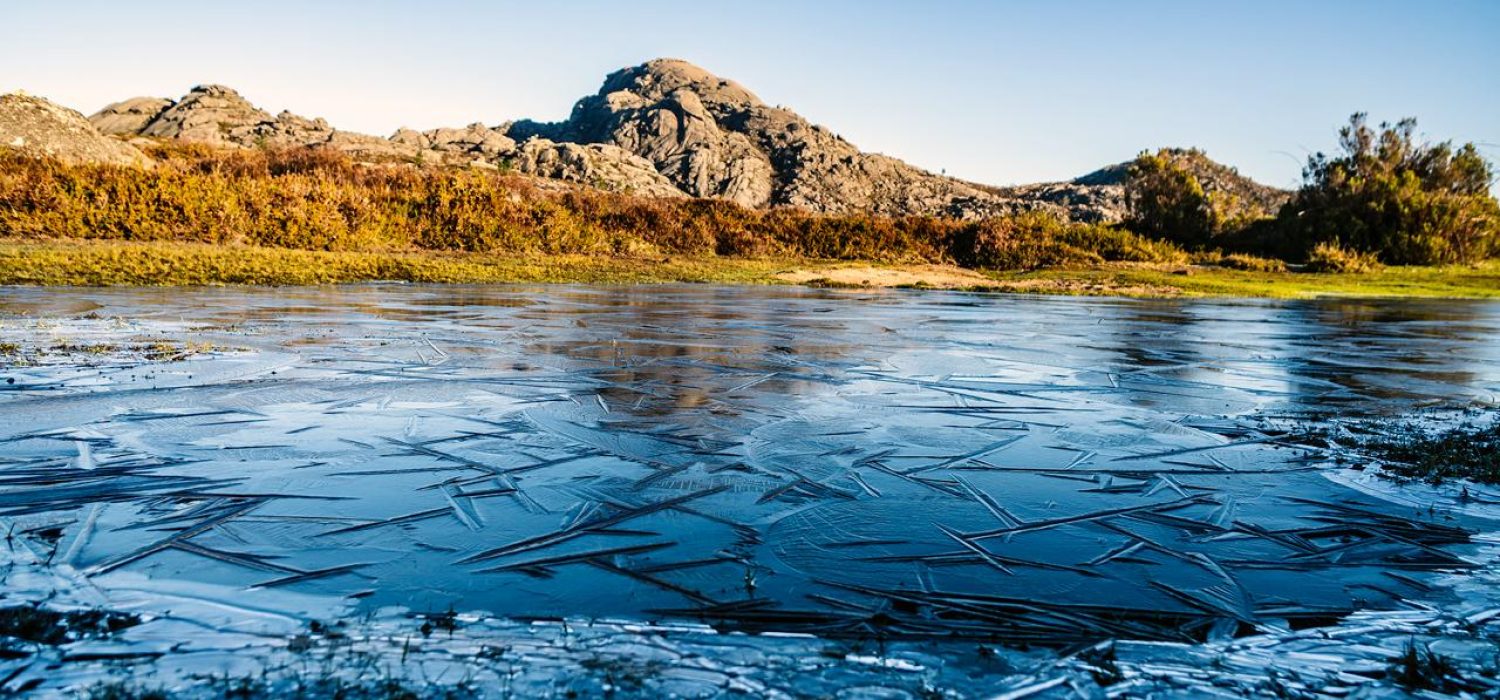 WhatsApp Image 2026-01-04 at 20.59.00 (4)