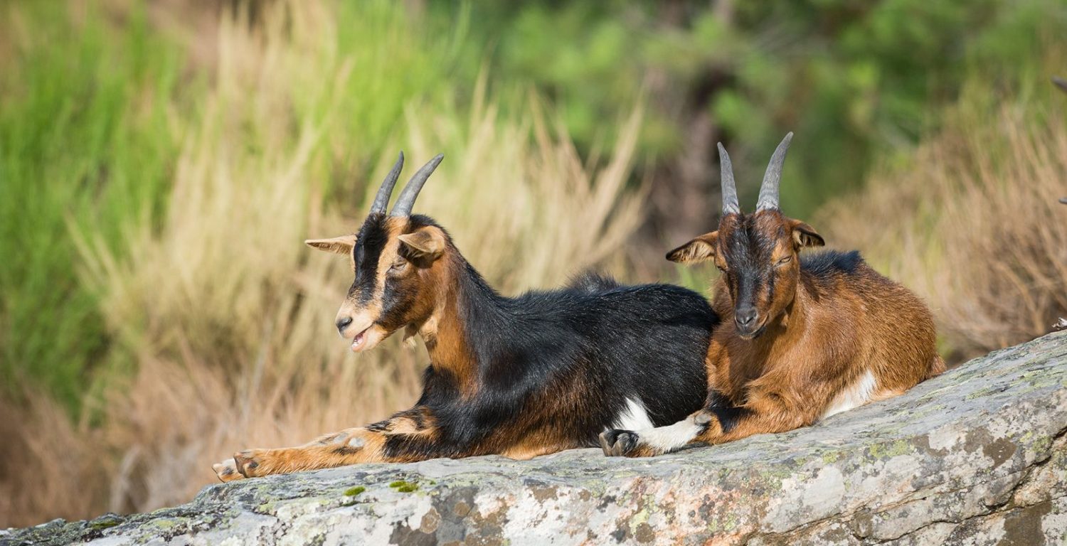 WhatsApp Image 2026-02-03 at 20.40.42 (2)