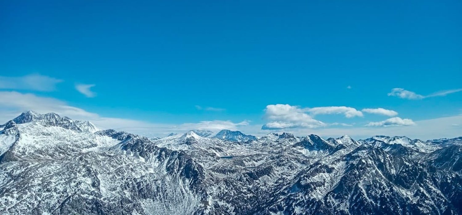 WhatsApp Image 2026-02-25 at 06.39.14