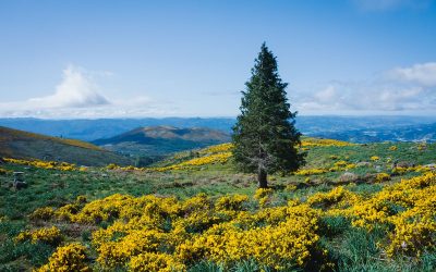 WhatsApp Image 2026-04-02 at 06.35.42 (9)