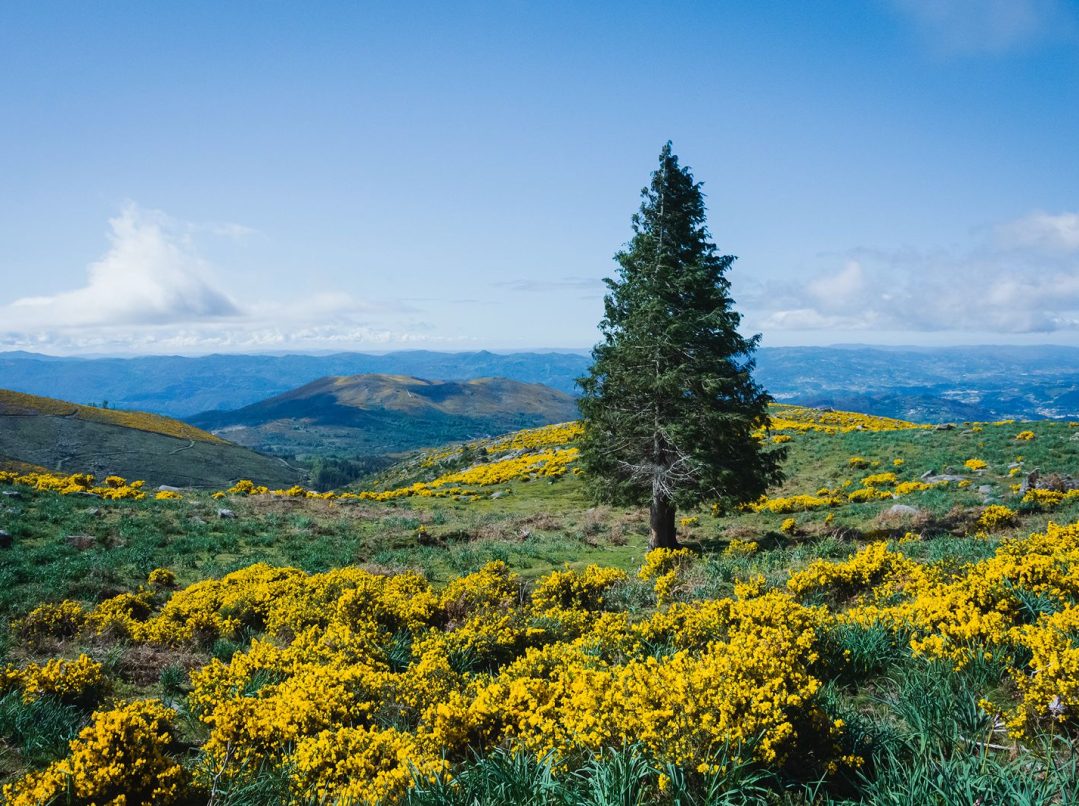 WhatsApp Image 2026-04-02 at 06.35.42 (9)