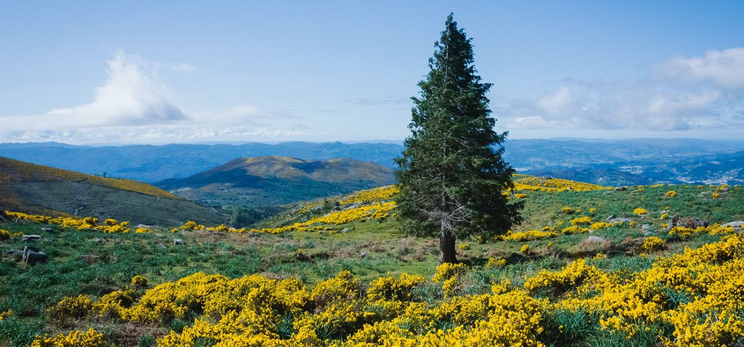 WhatsApp Image 2026-04-02 at 06.35.42 (9)