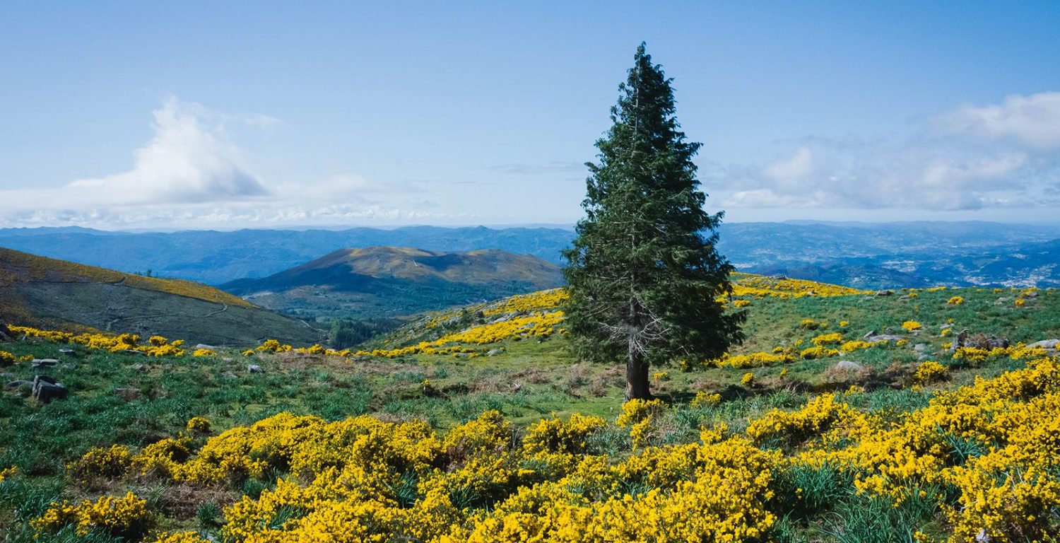 WhatsApp Image 2026-04-02 at 06.35.42 (9)