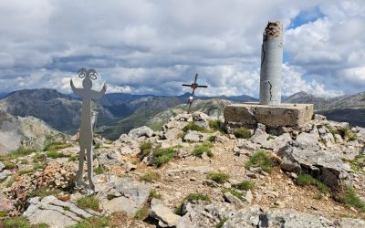 WhatsApp Image 2026-04-06 at 07.47.16