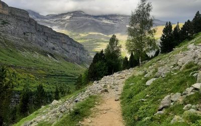 WhatsApp Image 2026-04-14 at 09.23.48 (1)