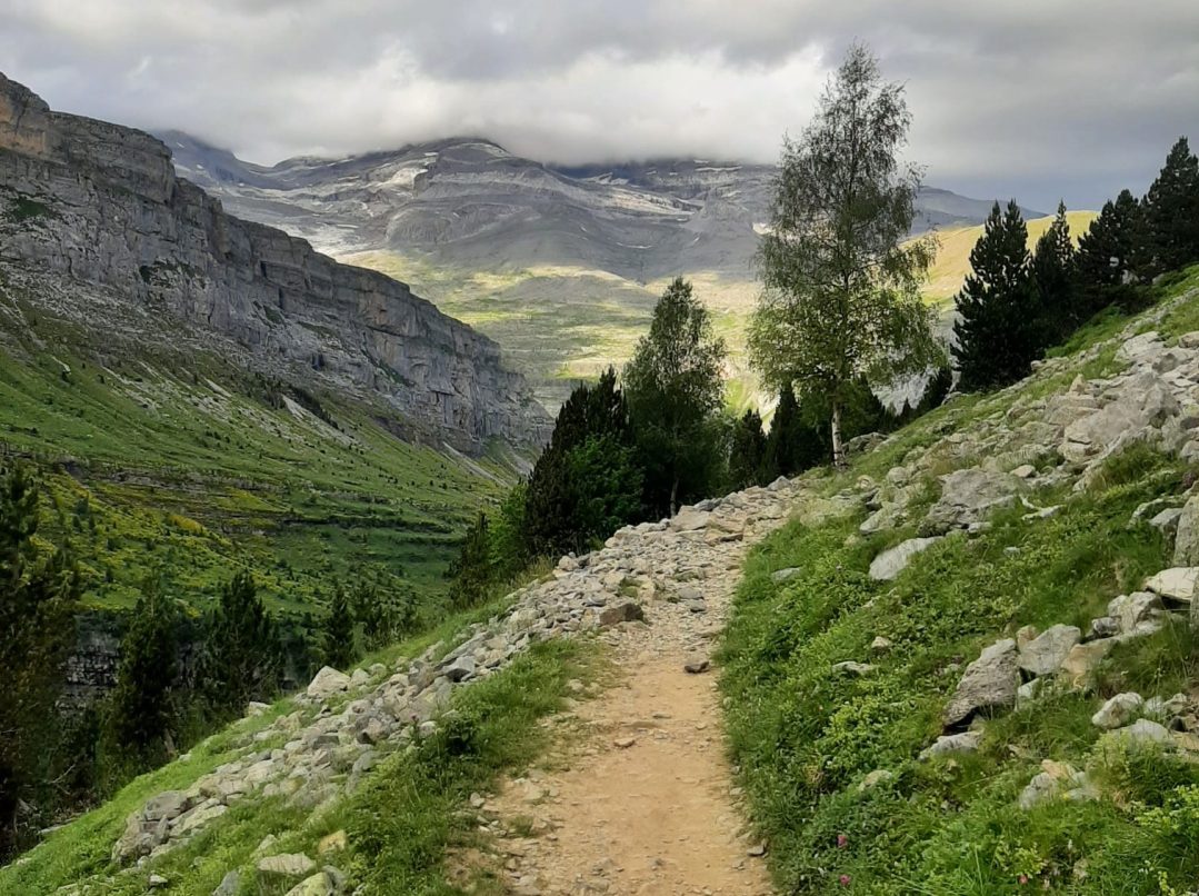 WhatsApp Image 2026-04-14 at 09.23.48 (1)