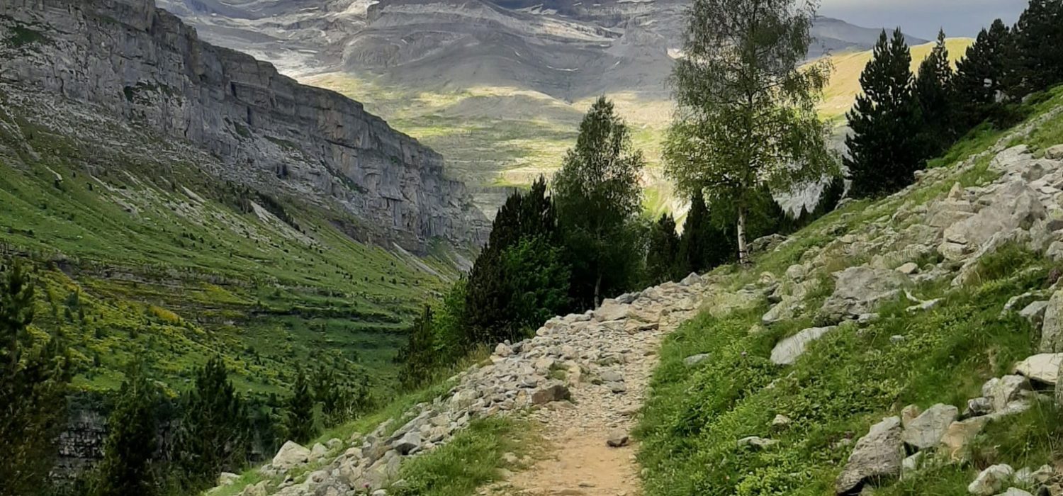 WhatsApp Image 2026-04-14 at 09.23.48 (1)